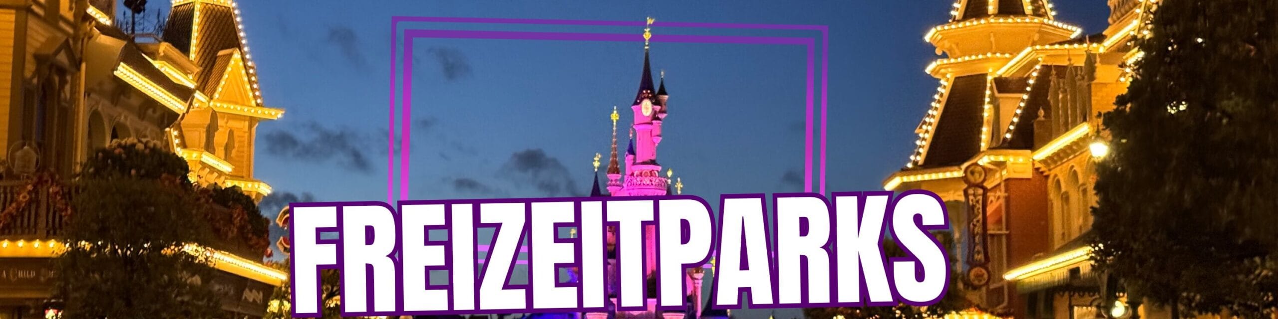 banner fzw 2